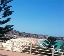 Bondi Road Seafoods