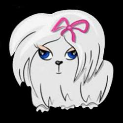 The K9 Salon