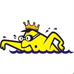 Atlantis Pool Services