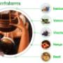 Panchakarma Sydney