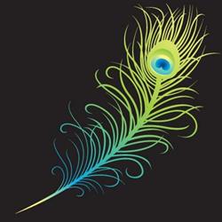 Beautiful Illusions
