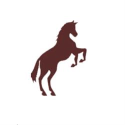 Australian Equine Institute
