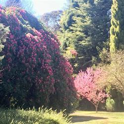 Breenhold Gardens
