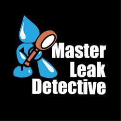 Master Leak Detective