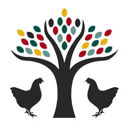 Talking Hens