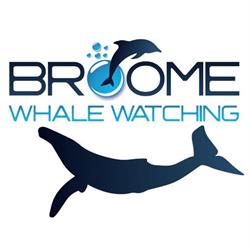 Broome Whale Watching
