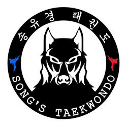 Song's Taekwondo Academy