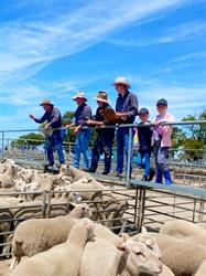 Green Triangle Livestock and Real Estate