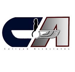 Caliyan Associates