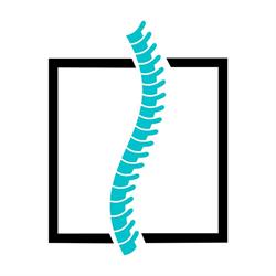 Chiropractor Croydon- The Innate Connection