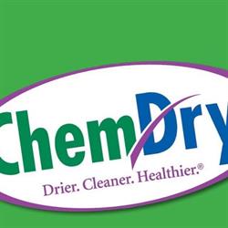 Chem-Dry Red Rose