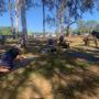 On Saturday we held a charity bootcamp for mental health which raised over $500 for Beyond Blue