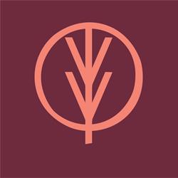 Vivo Chiropractic