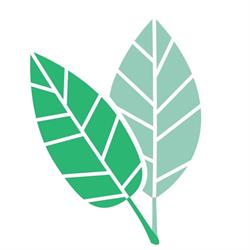 Karen Land Naturopath