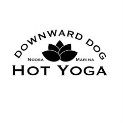 Downward Dog Hot Yoga