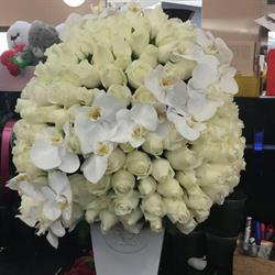 Deep Blue Florist