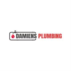 Damien's Plumbing Services