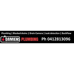 Damien's Plumbing Services
