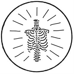The Clinic Osteopathy & Dry Needling