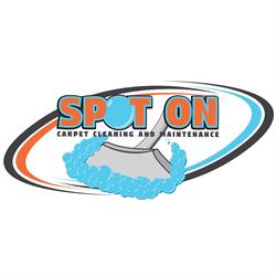 A Spot on Carpet Cleaning and maintenance