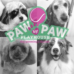 Paw by Paw Playhouse Dog Grooming & Daycare