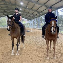 Tathren Stud and Riding School
