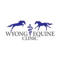 Wyong Equine Clinic