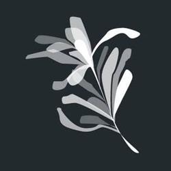 Macedon Chiropractic