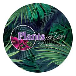 Plants For You