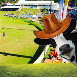 Maleny Show Society