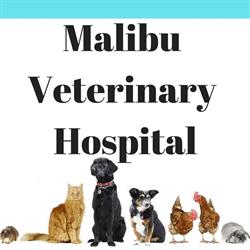 Malibu Veterinary Hospital