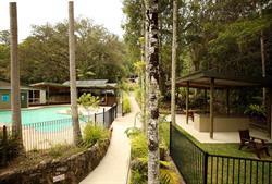 Mt Warning Rainforest Park