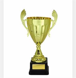 Border Trophies and Laser Designs