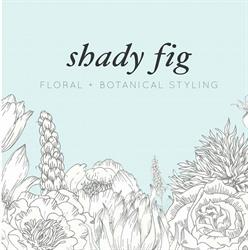 Shady Fig
