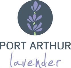 Port Arthur Lavender