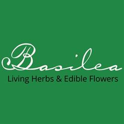 Basilea Living Herbs