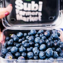 Sugar Bee Subi Farmers Market