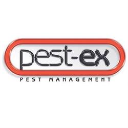 Pest-Ex Termite & Pest Control Gold Coast