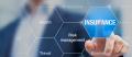 Insurance Valuation