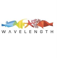 Wavelength Reef Cruises