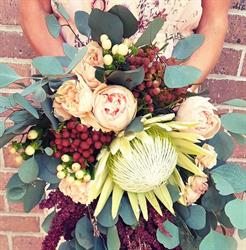 artistic blooms