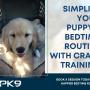 11_Positive K9 Training_hassle-free bedtime routine with puppy crate training services.jpg