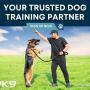 12_Positive K9 Training_Your Trusted Dog Training Partner.jpg