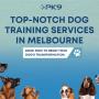 7_Positive K9 Training_one-stop solution for dog training in Melbourne.jpg