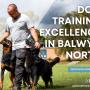 1_Positive K9 Training_Dog Training Excellence in Balwyn North.jpg