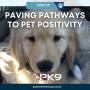 11_Positive K9 Training_Paving Pathways to Pet Positivity.jpg