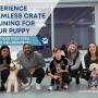 3_Positive K9 Training_crate training a puppy program at Positive K9 Training.jpg