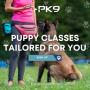 3_Positive K9 Training_Puppy Classes Tailored For You.jpg