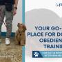 4_Positive K9 Training_dog obedience training.jpg