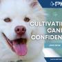 8_Positive K9 Training_Cultivating Canine Confidence.jpg